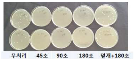UV-C 처리에 따른 L. monocytogenes 생장 모습
