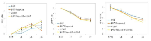 큰느타리버섯 비열플라즈마/자외선 처리에 따른 0℃저장 중 관능품질 변화