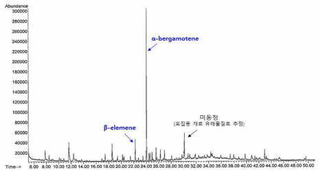 가지 꽃에서 방출되는 물질의 GC-MS 분석