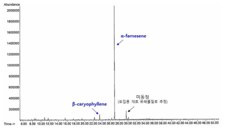 가지 잎에서 방출되는 물질의 GC-MS 분석