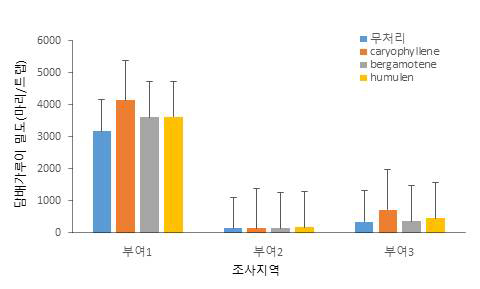 가지의 유래 물질 이용 끈끈이트랩의 담배가루이 유인 효과(부여, 멜론) (조사기간: 2020. 8. 14.∼10. 2.)