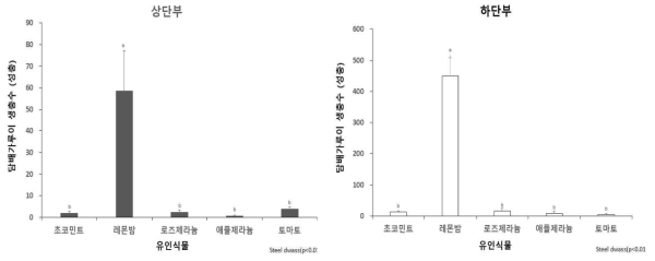 허브식물의 설치 위치에 따른 담배가루이 성충 유인 효과(토마토 재배 하우스) (조사기간: 2020. 8. 4.∼9. 28.)