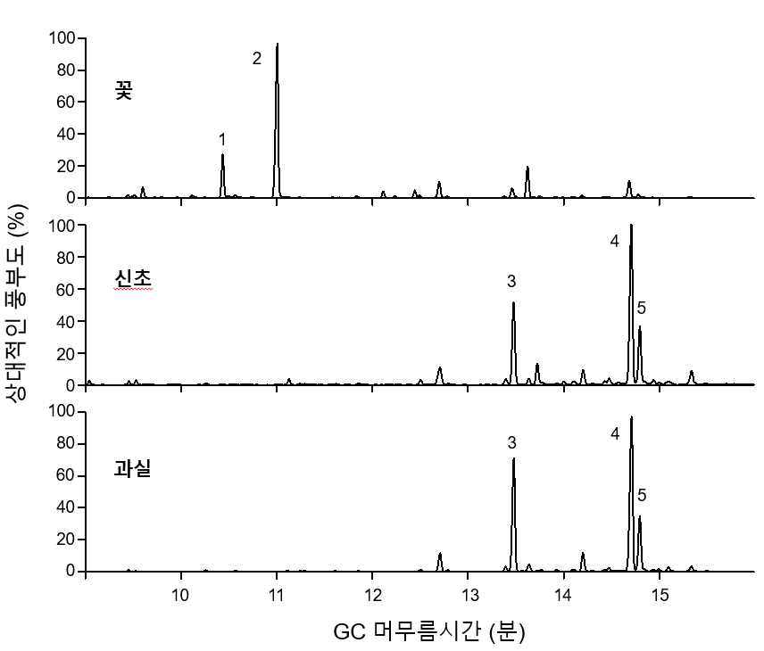 블루베리(‘다로우’ 품종) 꽃 휘발성 물질의 SPME 추출물 분석 결과 (1: 신남알데히드, 2: 신나밀알코올, 3: β-카리오필렌, 4: 저마크렌 D, 5: α-파르네센)
