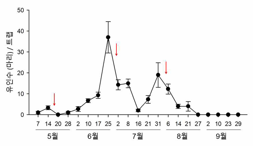 블루베리혹파리 성페로몬 트랩을 이용한 연중 발생소장 조사(2020, 군산)
