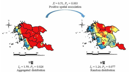 2020년 충남도내 미국선녀벌레 발육단계별 공간분포 특성