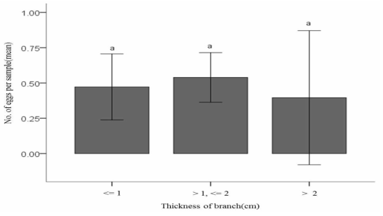 아카시 가지의 굵기별 미국선녀벌레의 평균 알 수(2018) (Different letters above standard deviation bars indicate significant difference among means at Type I error=0.05 (LSD test)