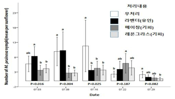 해바라기에 처리된 라벤더, 메이창, 레몬그라스의 조사일자별 유인효과와 기피효과 비교 1차(2020)