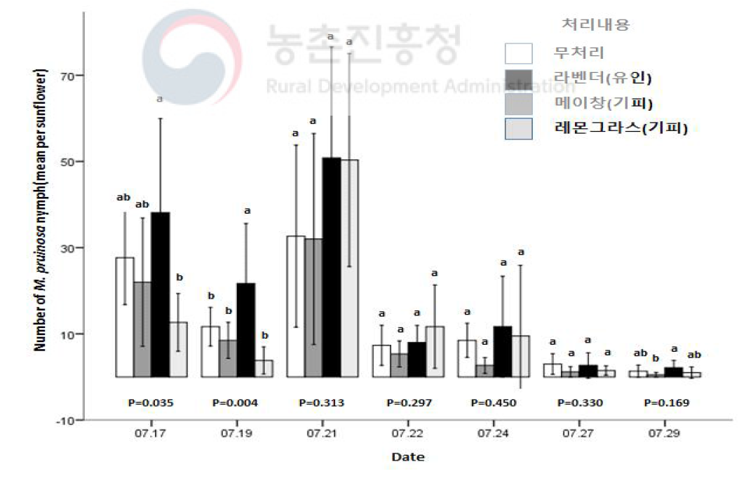 해바라기에 처리된 라벤더, 메이창, 레몬그라스의 조사일자별 유인효과와 기피효과 비교 2차(2020)