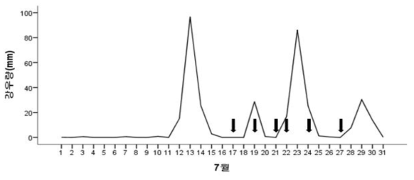 2020년 7월 강우량