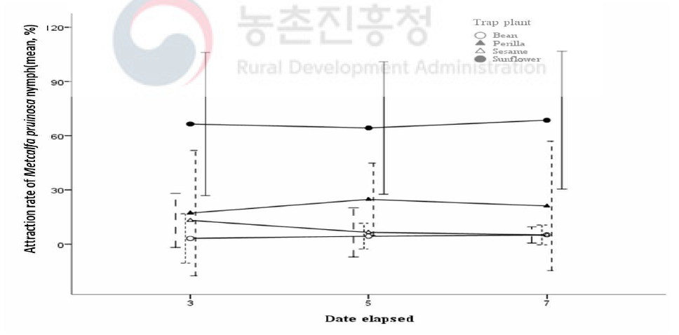 실내실험에서 경과일수에 따른 성숙단계 트랩식물에 대한 미국선녀벌레의 유인효과