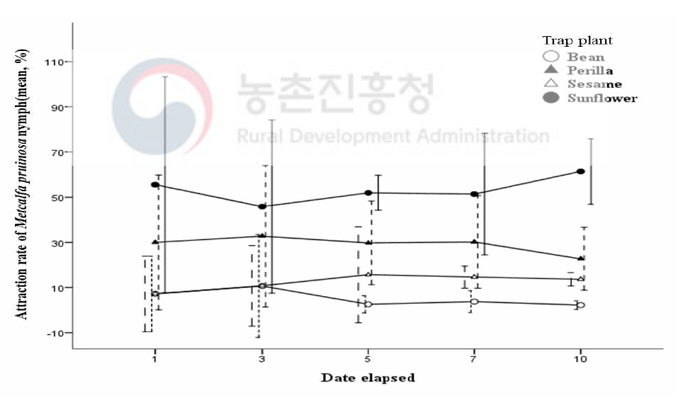 실외실험에서 경과일수에 따른 성숙단계 트랩식물에 대한 미국선녀벌레의 유인효과