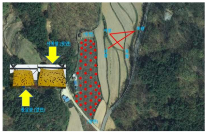 갈색날개매미충에 대한 방향별 유입량 조사를 위한 황색점착트랩 설치 지점