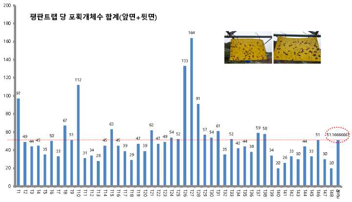 갈색날개매미충 성충의 설치지점에 따른 트랩별 포획 개체 수 비교