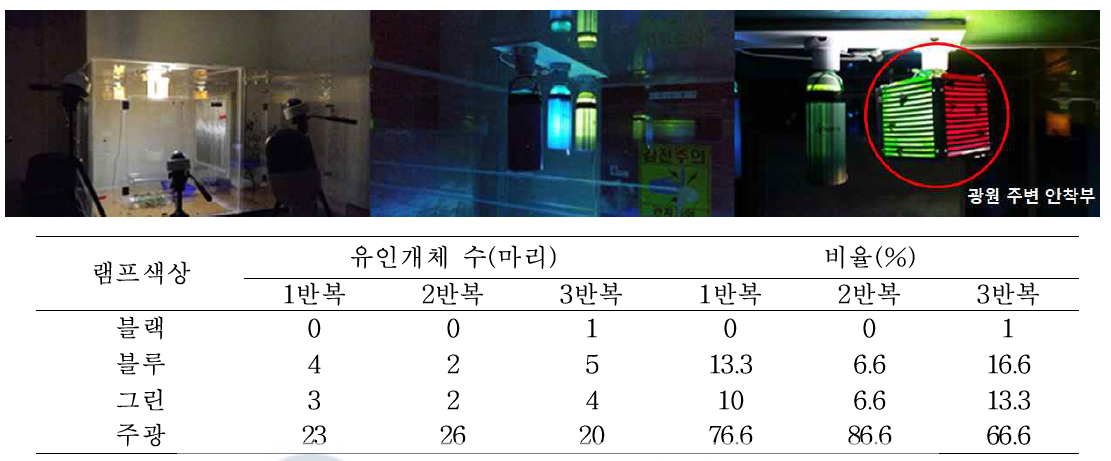 갈색날개매미충의 램프 색상별 광반응 결과(2018)