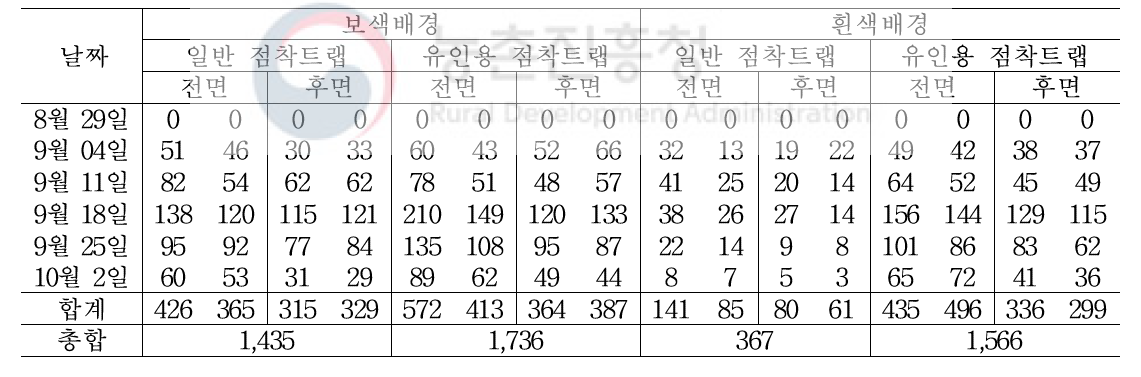 보색 / 흰색배경, 일판 / 유인용 점착트랩을 이용한 유인력 실험 결과(2019)