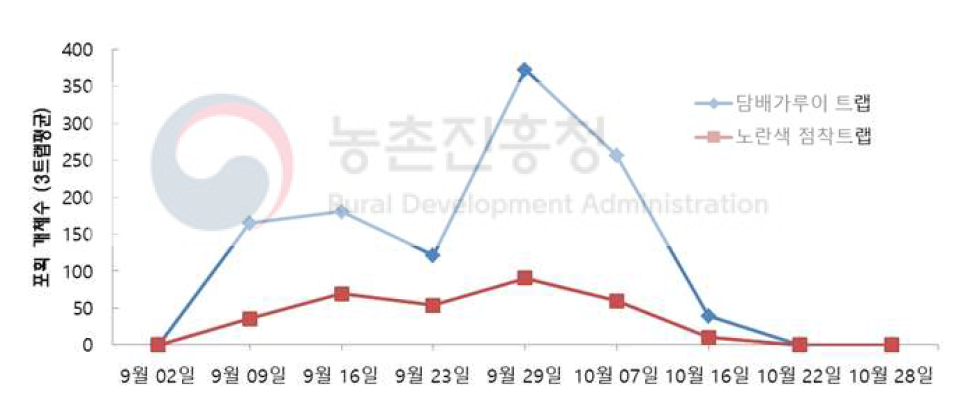 담배가루이 트랩 유인 및 포획력 실험 결과