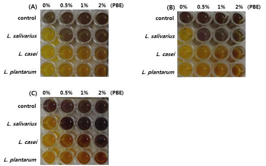 0%, 0.5%, 1%, 2%의 PBE 를 첨가하여 담즙산 내성을 확인 (A) Control (MRS), (B) MRS + 0.2% dipotassium phosphate, (C) MRS + 0.3% dipotassium phosphate