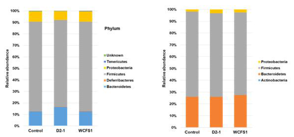 Relative abundance of classification at the phylum level (a) cecum (b) feces Unpublished data