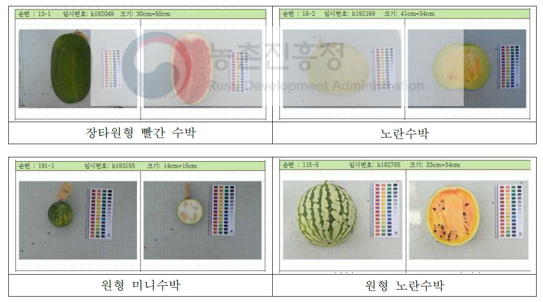 수박 이미지 자료