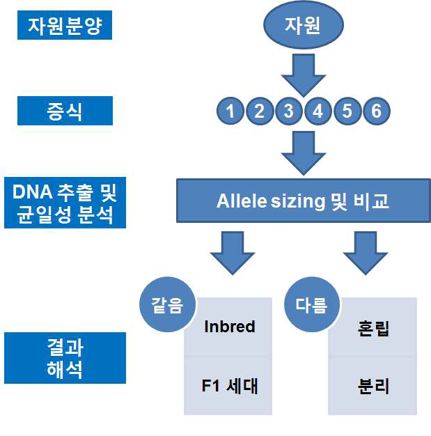 균일성 검정 flow-chart