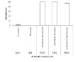 토양소독제 처리 후 20일 노출 화합물의 꿀벌 살충력 평가