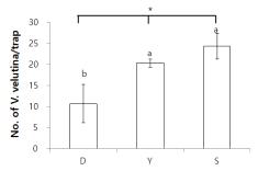 등검은말벌 방제용 트랩 형태별 포획력 평가(ANOVA, df=2, 6, F=9.65, P<0.05)