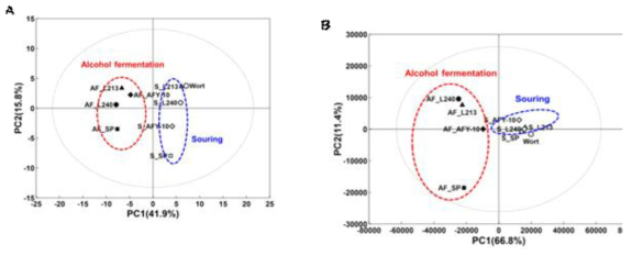 균주별 사워링 전후 사워에일 향기성분 분석(A: PCA, B: PLS-DA)