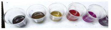 자색옥수수 추출물 pH에 따른 색상 변화