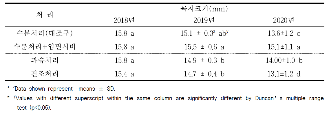 처리별 꼭지크기