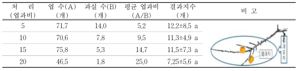 결과모지별 착과 특성(2018년)