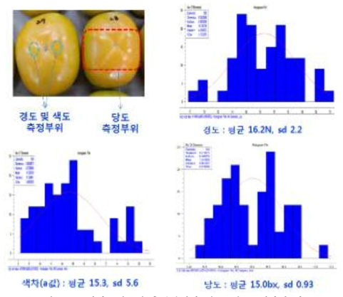 근적외스펙트럼 측정부위와 경도, 당도, 색차의 평균