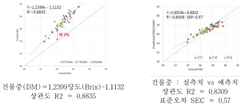 부유품종의 당도와 건물중 및 건물중 실측치와 예측치 상관관계분석