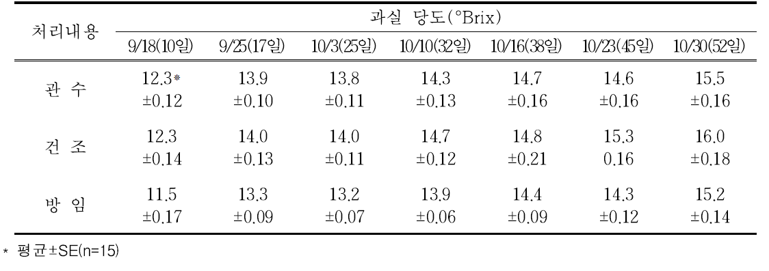 생육후기 과실 당도변화 조사(2019년)