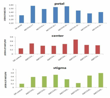 AbF3’5’H유전자 도입 페튜니아 형질전환체 안토시아닌 분석