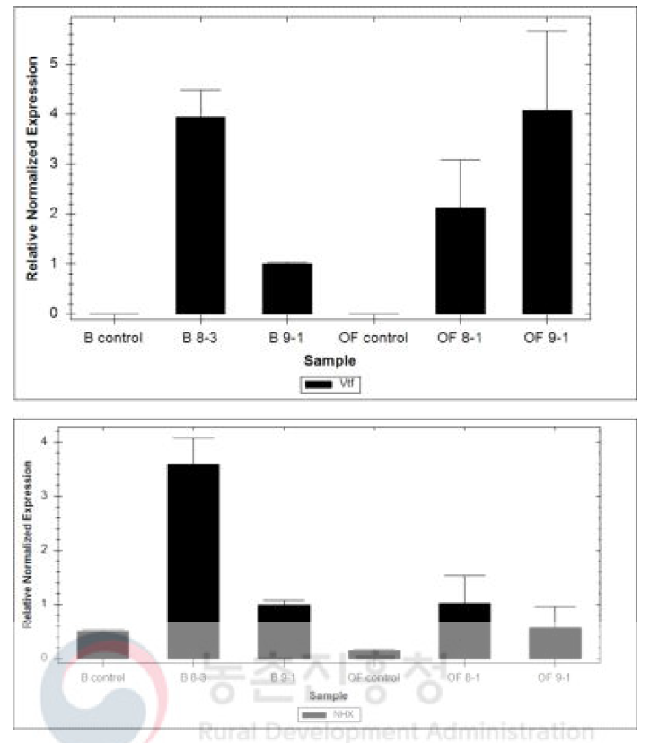 VtF3’5’H 및 RhNHX 도입 장미 형질전환 2계통 도입유전자 발현 확인(RT-qPCR)