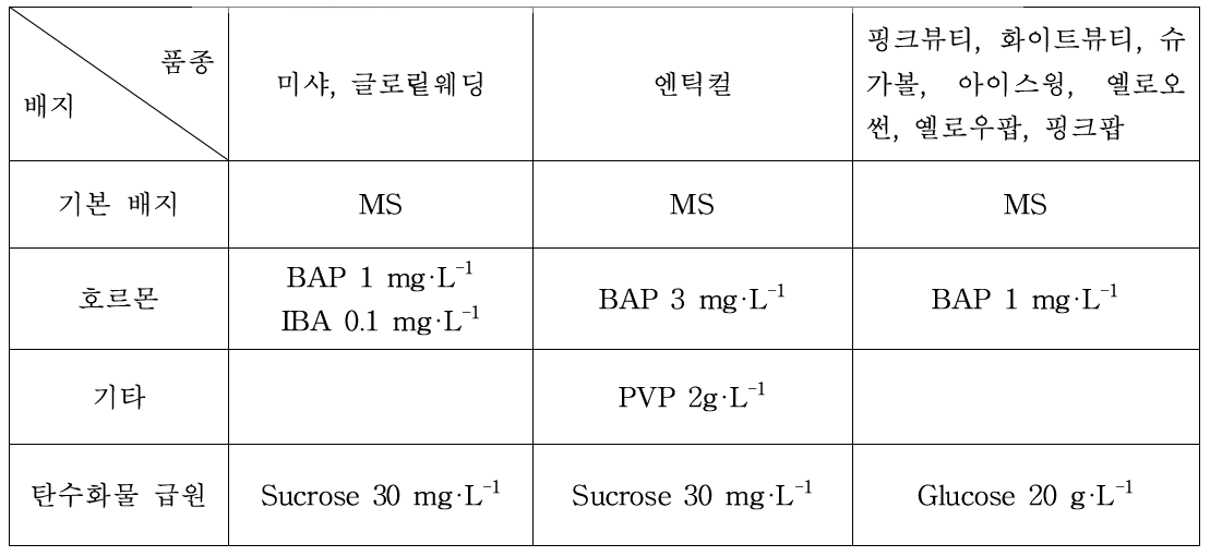 기내 도입 후 장미 품종별 신초 증식에 효과적인 배지 조성