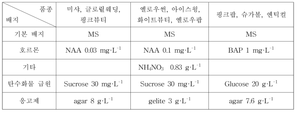 기내 도입 장미 품종별 발근배지 조성