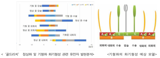 ‘골드리치’ 정상화 및 기형화 화기 구조 모델