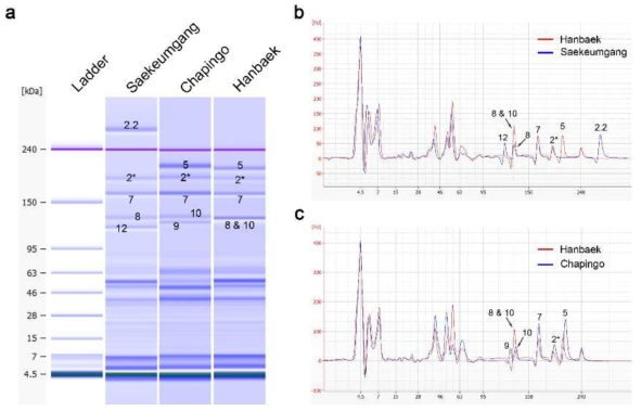 Identification of 8&10 subunits on Lab-on-a-chip. (a) gel-like image of HMW-GS subunits. (b) Comparison of protein quantity between 1By8 and 8&10 by electropherogram. (c) Comparison of protein quantity between 1Dy10 and 8&10 by electropherogram. Six mg of diluted extracted glutenin proteins with denaturing solution were separated by the 2100 Bioanalyzer. The electropherograms were overlaid with 2100 Expert program. The small numbers on image mean each HMW-GS subunit such as 2.2 is 1Dx2.2 and 12 is 1Dy12