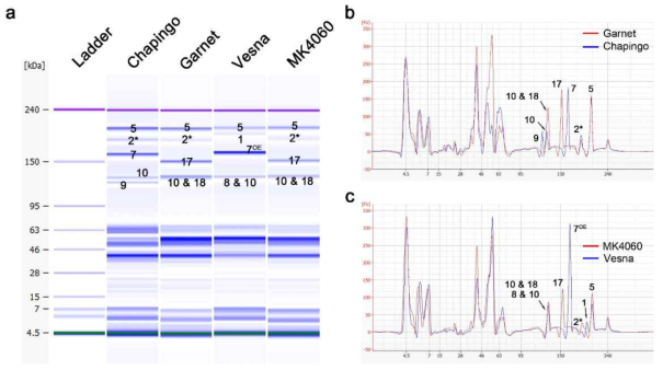 Identification of 10&18 subunits on Lab-on-a-chip. (a) gel-like image of HMW-GS subunits. (b) Comparison of protein quantity between 1Dy10 and 10&18 by electropherogram. (c) Comparison of protein quantity between 8&10 and 10&18 by electropherogram. Six mg of diluted extracted glutenin proteins with denaturing solution were separated by the 2100 Bioanalyzer. The electropherograms were overlaid with 2100 Expert program. The small numbers on image mean each HMW-GS subunit such as 5 is 1Dx5 and 2* is 1Ax2*