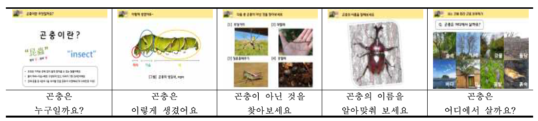 곤충에 대해 알아보고 친해지는 단계