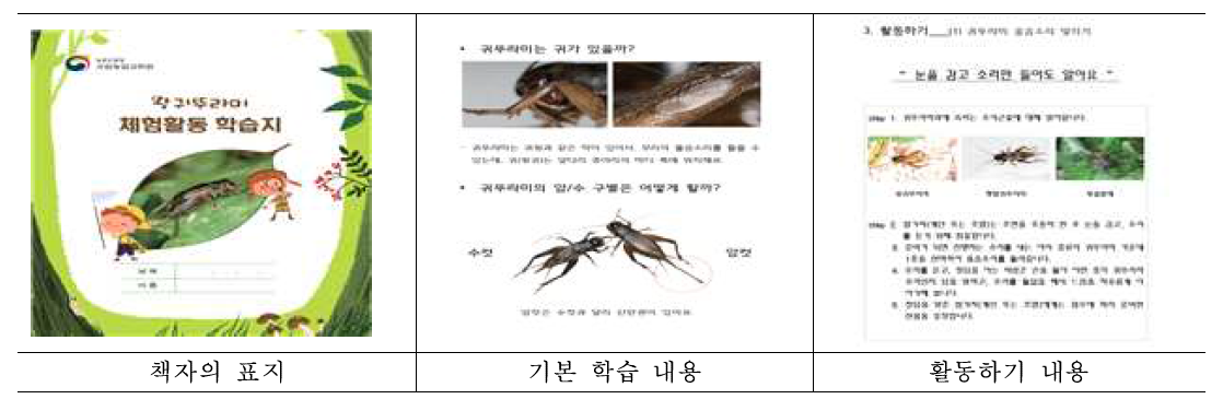 황귀뚜라미 학습지 내용 구성