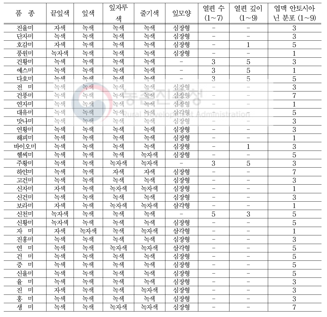 고구마 품종별 끝순 외형 특성