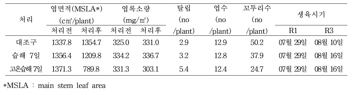 개화시기(R1) 습해 7일 처리에 따른 콩 생육변동