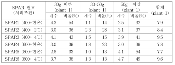 SPAR에서 수확된 감자의 크기별 분류 및 분포