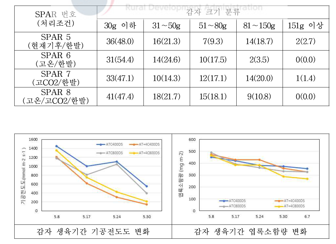 SPAR에서 수확된 감자의 크기별 분류 및 분포