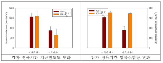 한발조건에서 재배된 감자의 기공전도도와 엽록소 함량 변화