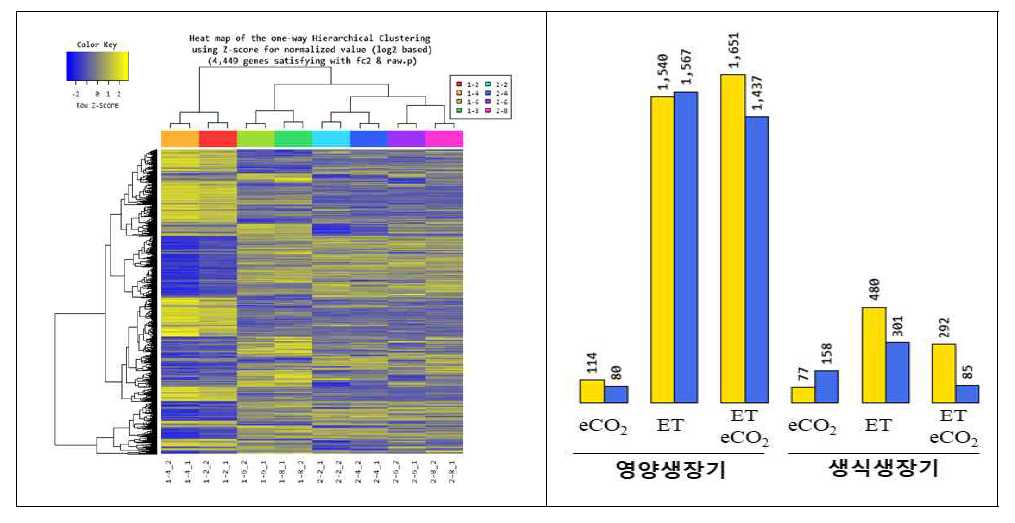 기후조건별 전사체 분석의 heat-map 및 DEG 분석 결과