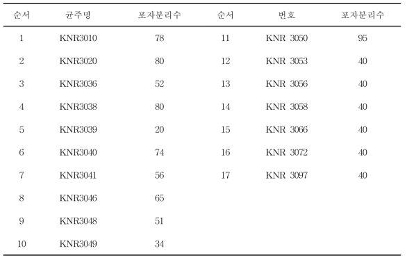 표고버섯 선발모본 유래 단포자 분리현황