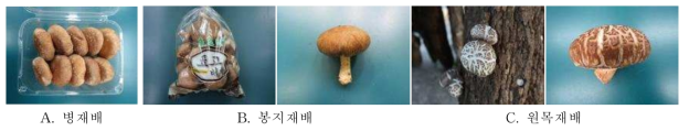 표고버섯 재배방법에 따른 자실체 모습